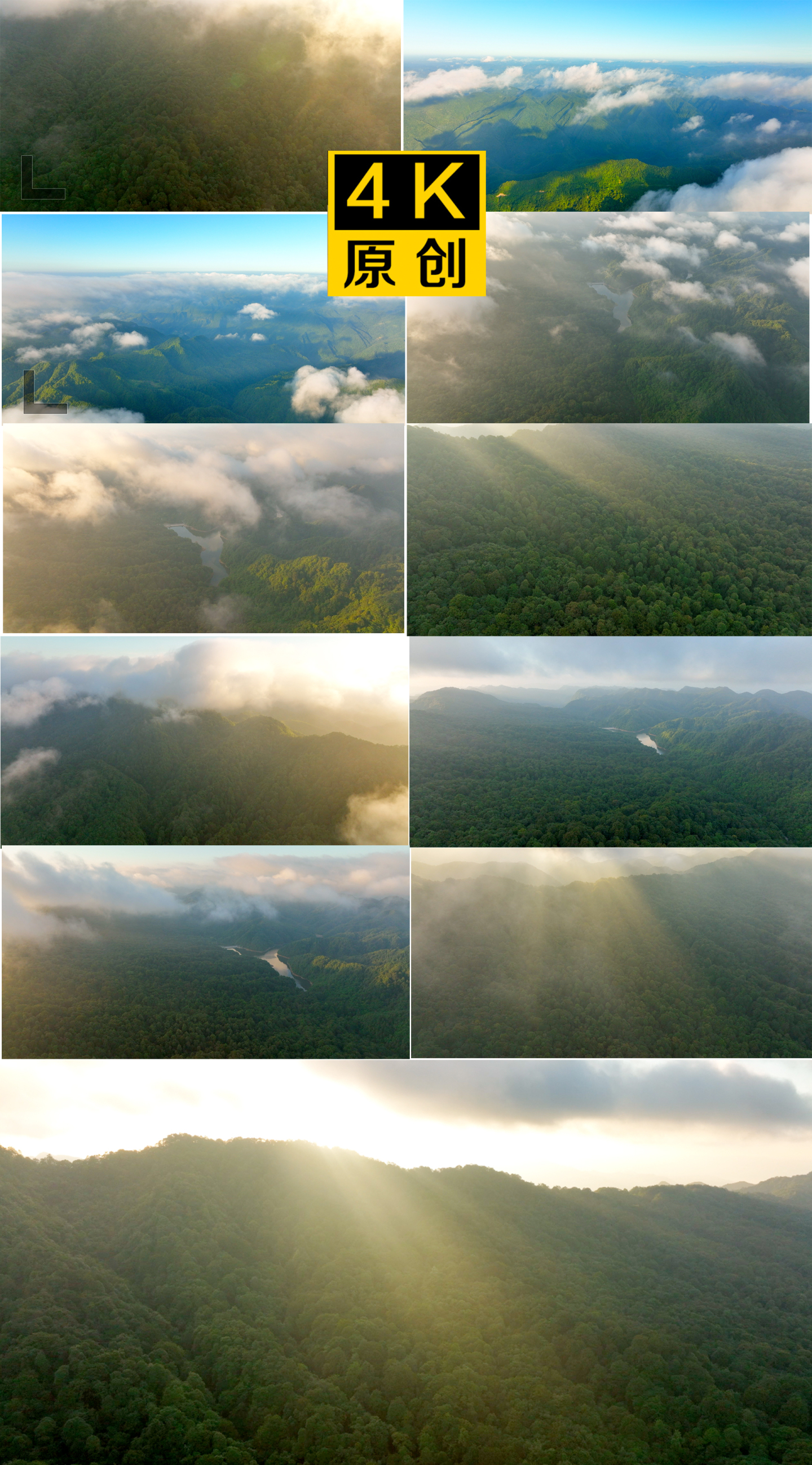 绝美大气清晨的山水山川原始森林阳光树林