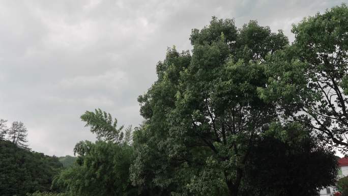 阴雨天