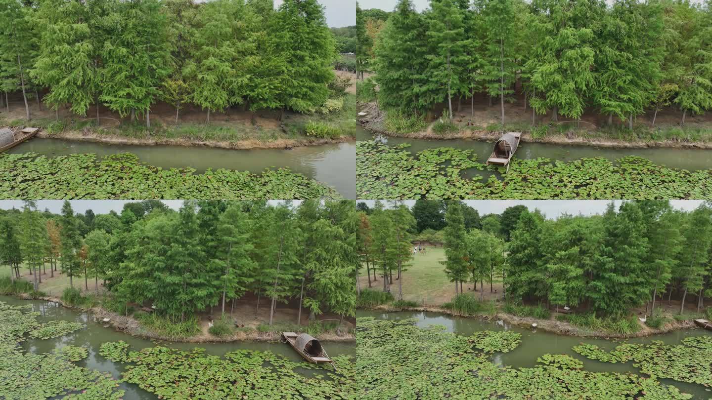 航拍夏季的中山陵燕雀湖