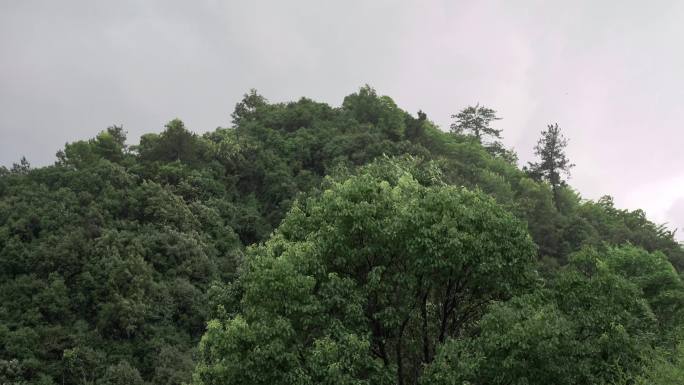 阴雨天