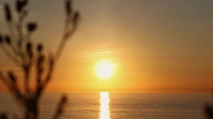 日出平静海平面夕阳波光粼粼大海海岸