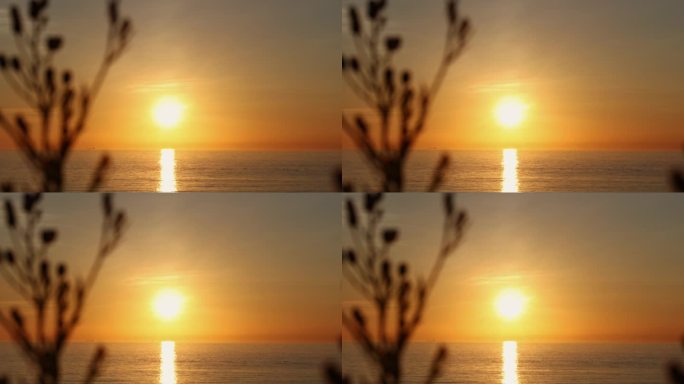 日出平静海平面夕阳波光粼粼大海海岸