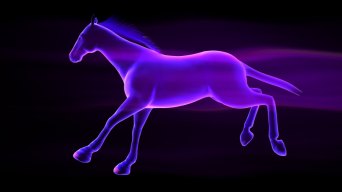 马奔跑光线视频素材