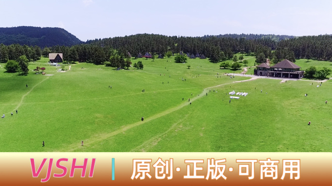 重庆仙女山大自然高山草原森林道路氧吧夏至