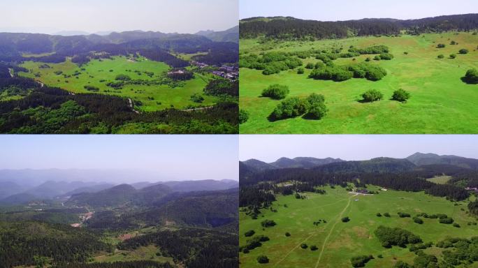 重庆仙女山大自然高山草原森林道路氧吧夏至