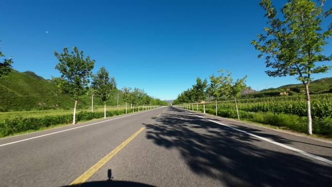 开车视角行驶在公路上  沿途风景