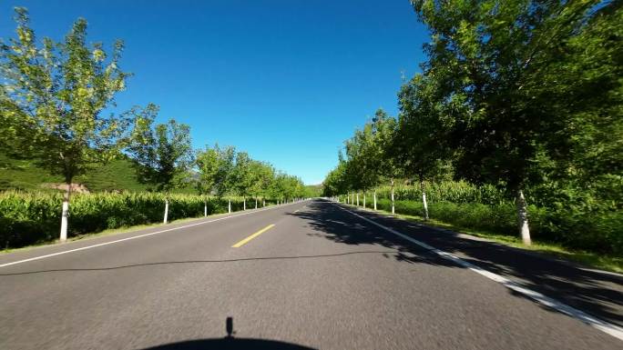 开车视角行驶在公路上  沿途风景