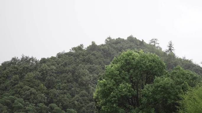 狂风暴雨多镜头