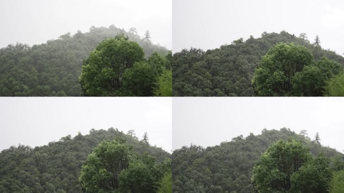 狂风暴雨多镜头