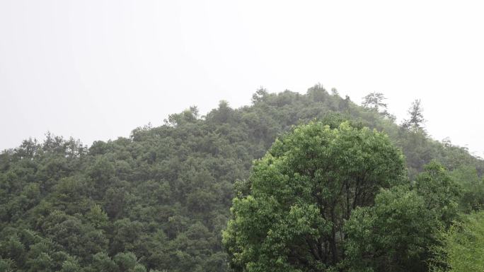 下雨天