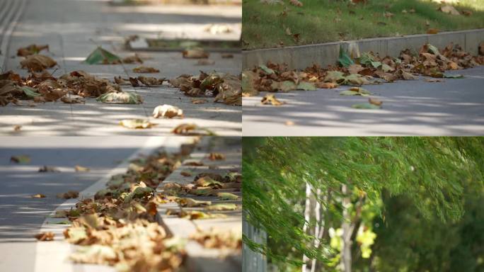 4K秋天人行道堆积的落叶光影变化升格空镜