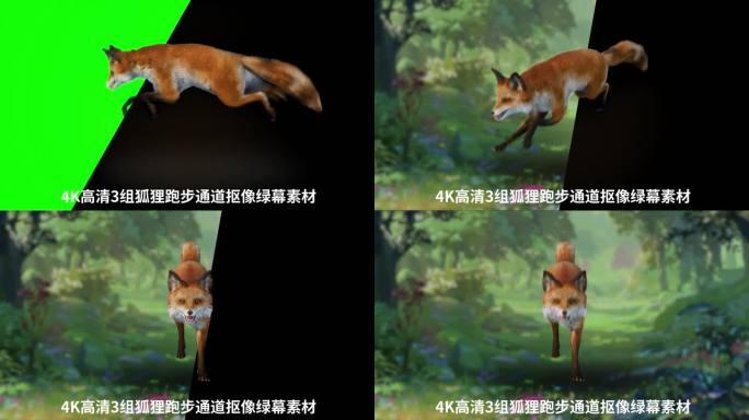 4K狐狸跑步绿幕抠像循环动画3组