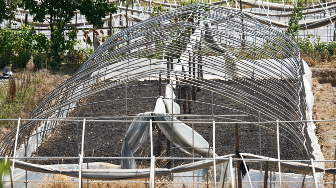 4K草莓采摘园种植大棚空镜