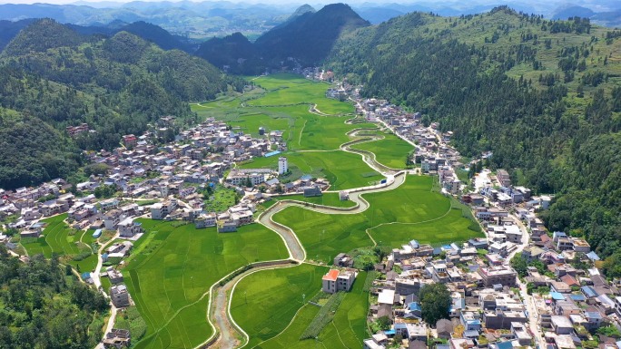 乡村夏天稻田航拍素材