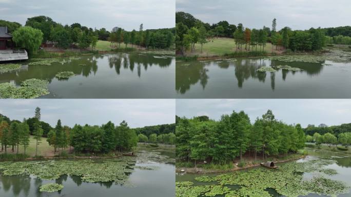 航拍夏季的中山陵燕雀湖