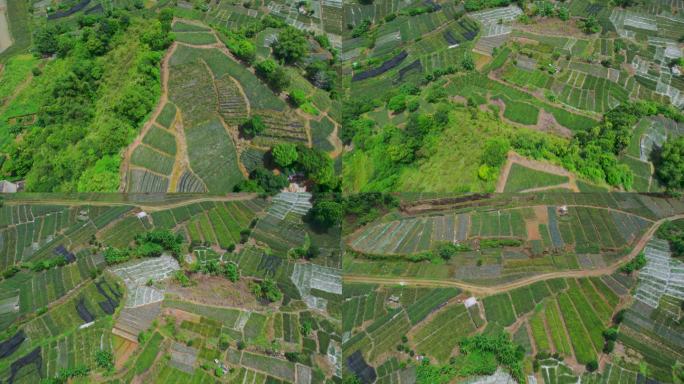 山地种植新型种植技术山间田野