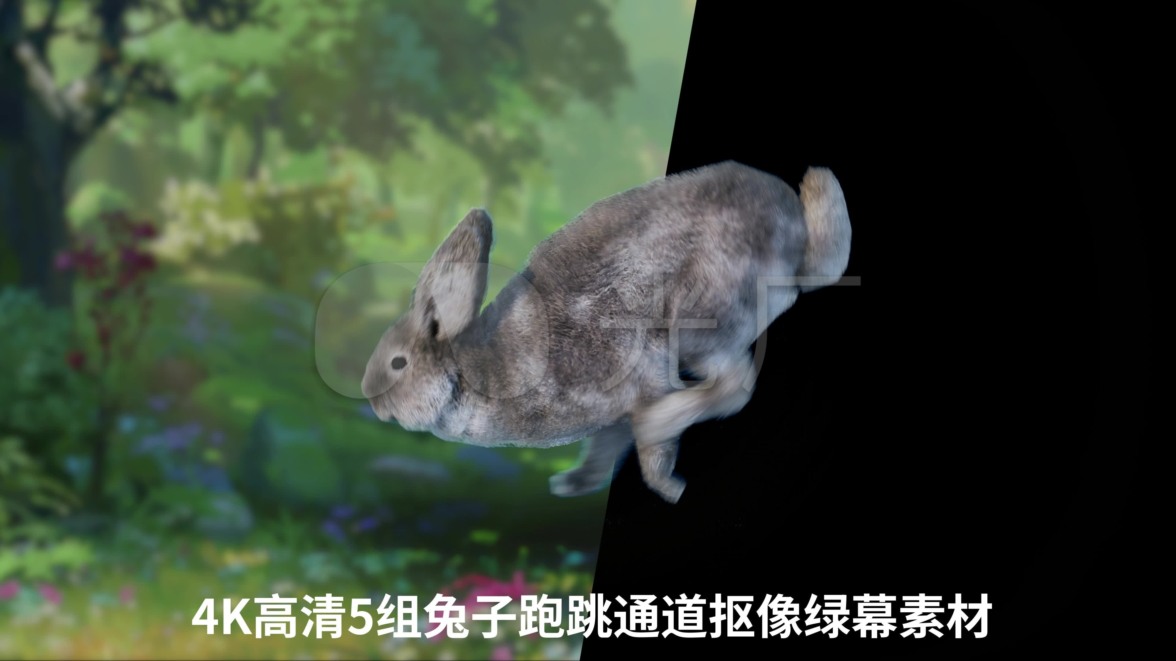 兔子帮（国产动画片）_百度百科