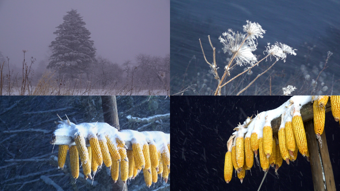 雪地写意镜头