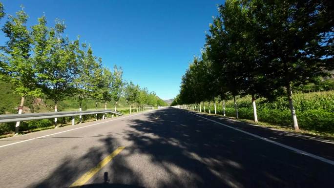 开车视角行驶在公路上  沿途风景