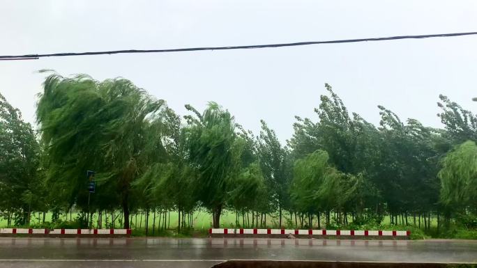 大风大雨中骑电动车