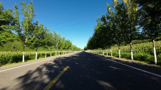 开车视角行驶在公路上  沿途风景