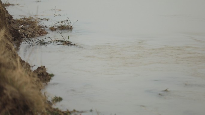 黄河流水