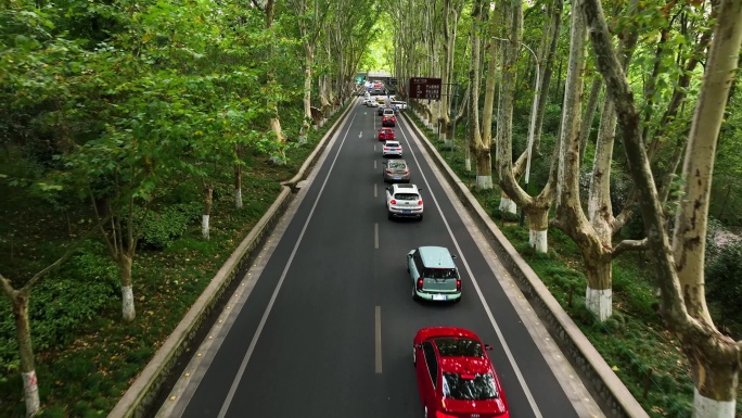 航拍中山陵景区陵园路