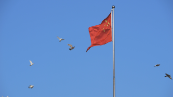 原创4k实拍鸽子飞过红旗素材视频素材