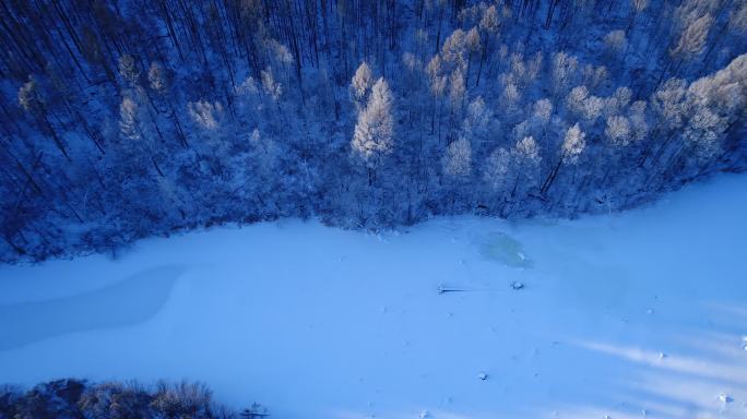航拍冰封河流树林雪景