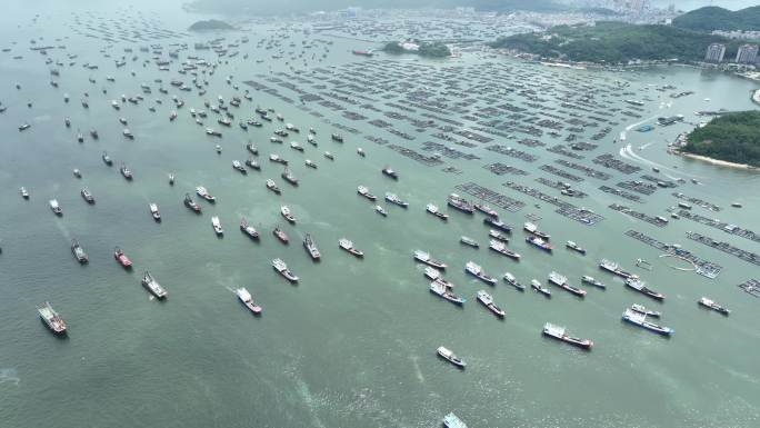 2022南海阳江海陵岛开渔节