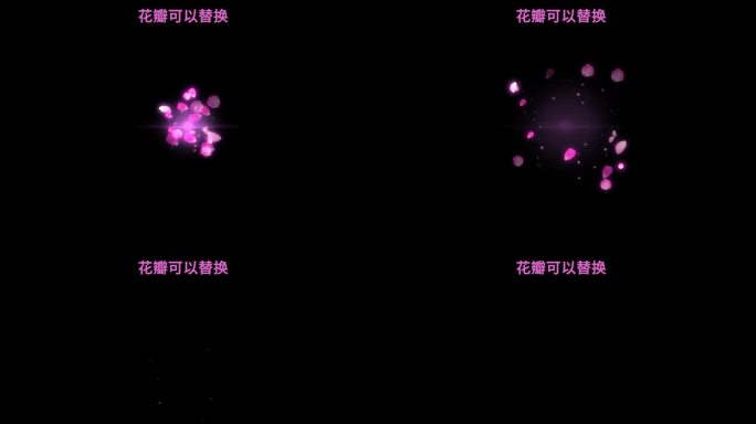 【AE模板】花瓣粒子爆开素材可替换花瓣
