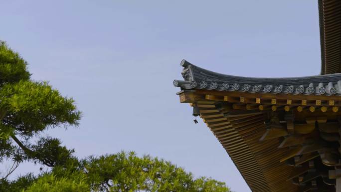 上海宝山寺祇园2