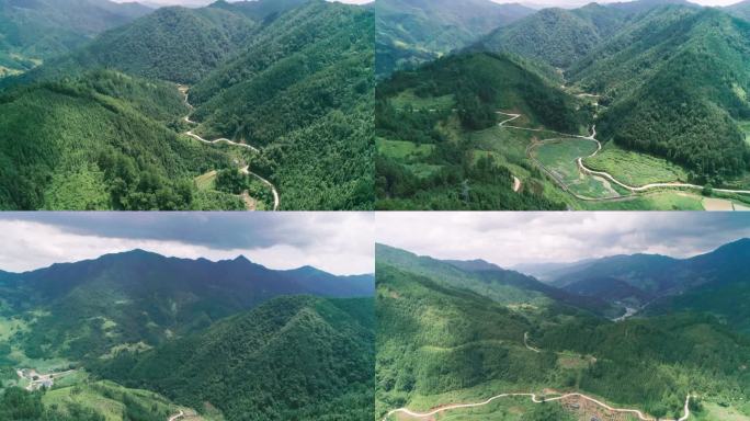 贵州树林覆盖率
