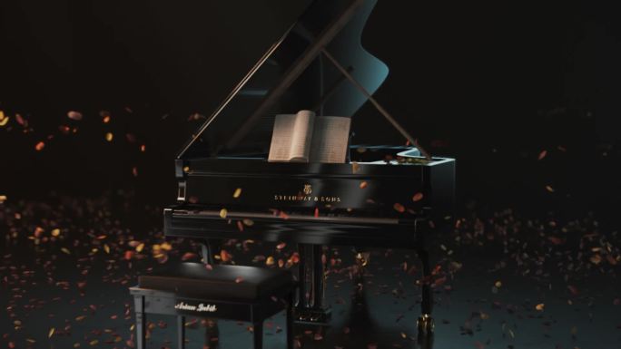 钢琴  花瓣钢琴  高级钢琴