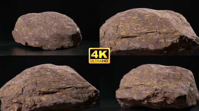 崮山组灰紫色竹叶状灰岩