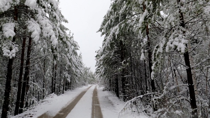 大兴安岭森林雪路