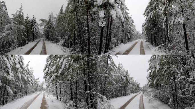 大兴安岭森林雪路