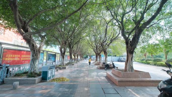 广西桂林城市道路绿树成荫的老城区街道街景