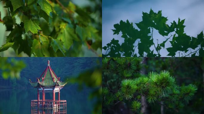 4K庐山芦林湖唯美风景