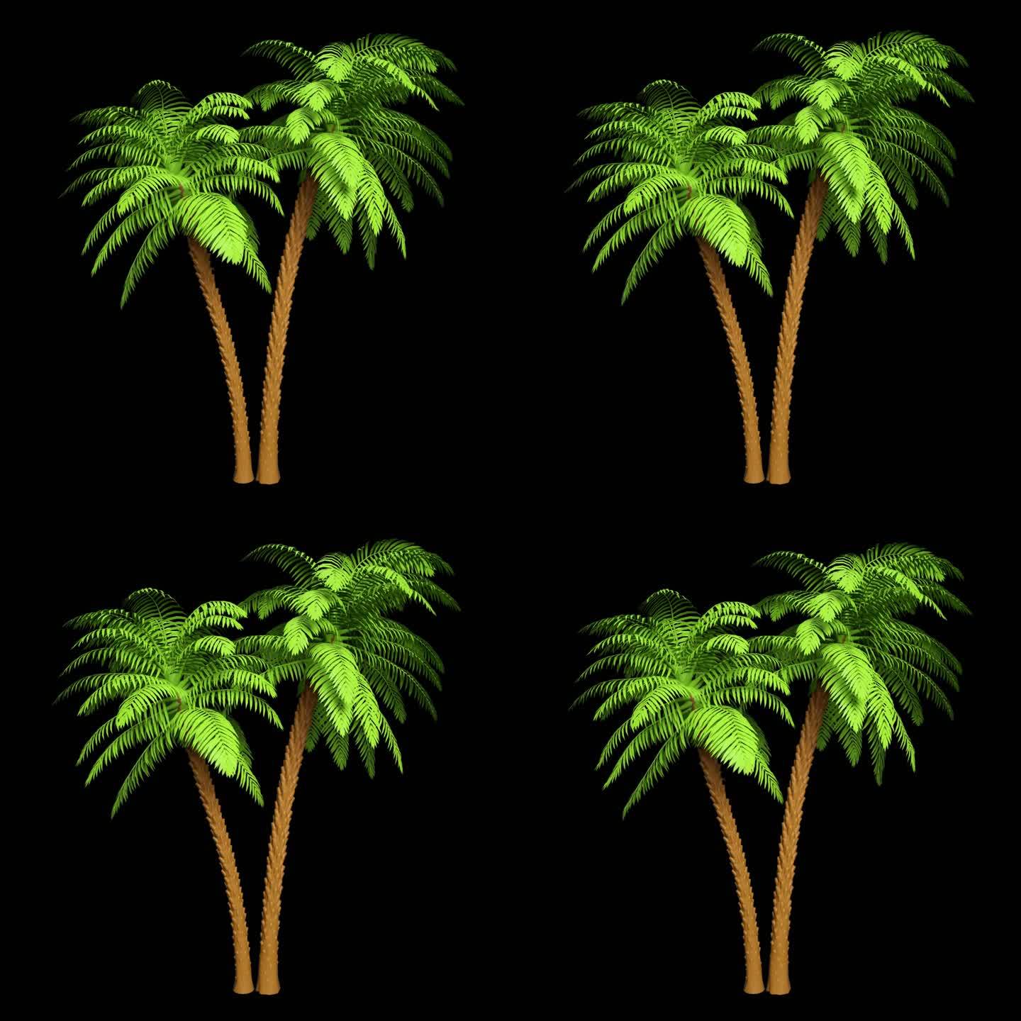 椰子树通道视频-可循环