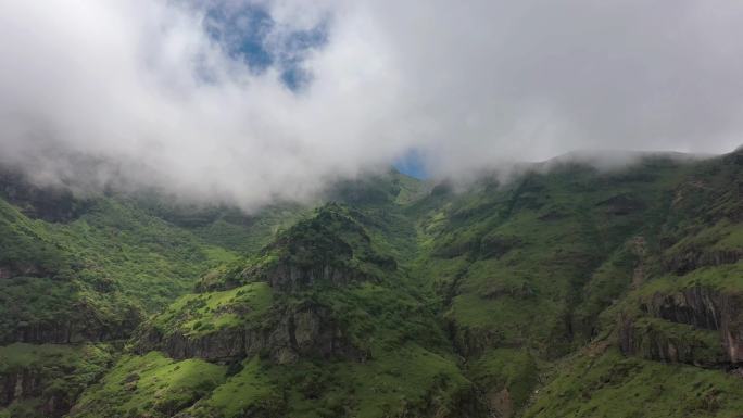 C025 云南昭通巧家药山合集