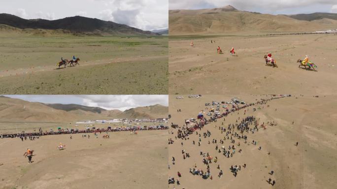 西藏赛马