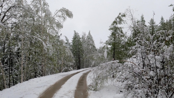 大兴安岭森林雪路