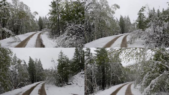 大兴安岭森林雪路