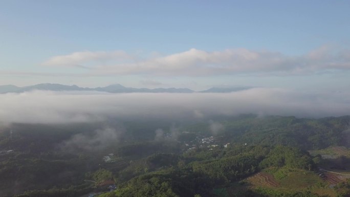 航拍海南省热带雨林五指山