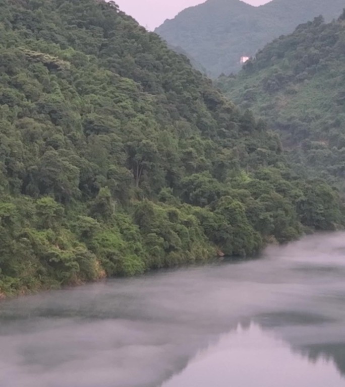 高清竖屏航拍湖南洞庭湖一隅