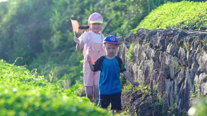 漫山茶园手举小红旗奔跑的孩子们