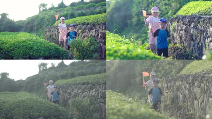 漫山茶园手举小红旗奔跑的孩子们