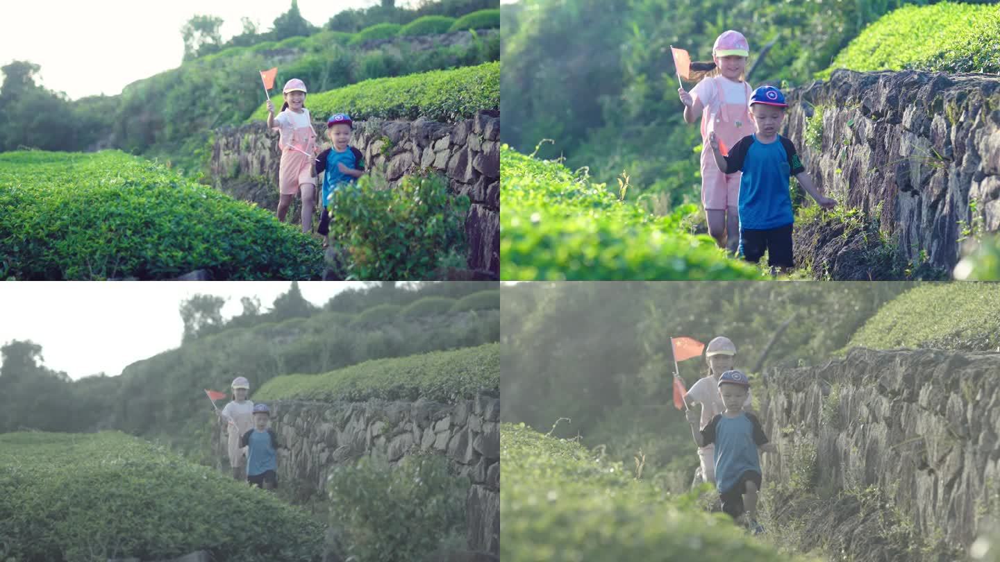 漫山茶园手举小红旗奔跑的孩子们