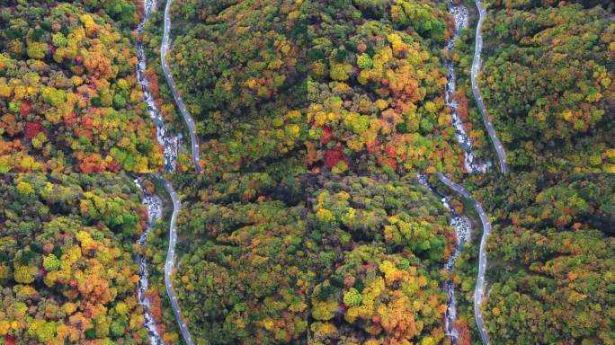 四川省巴中市米仓山国家森林公园航拍